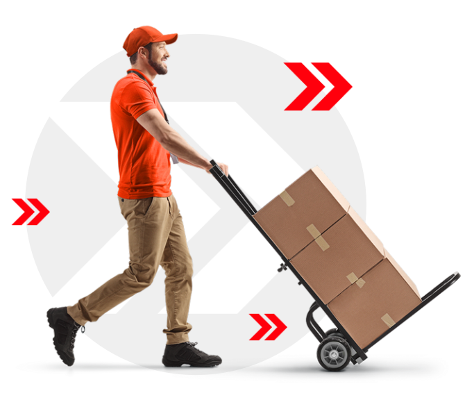 Pro-Despatch Delivery Guy